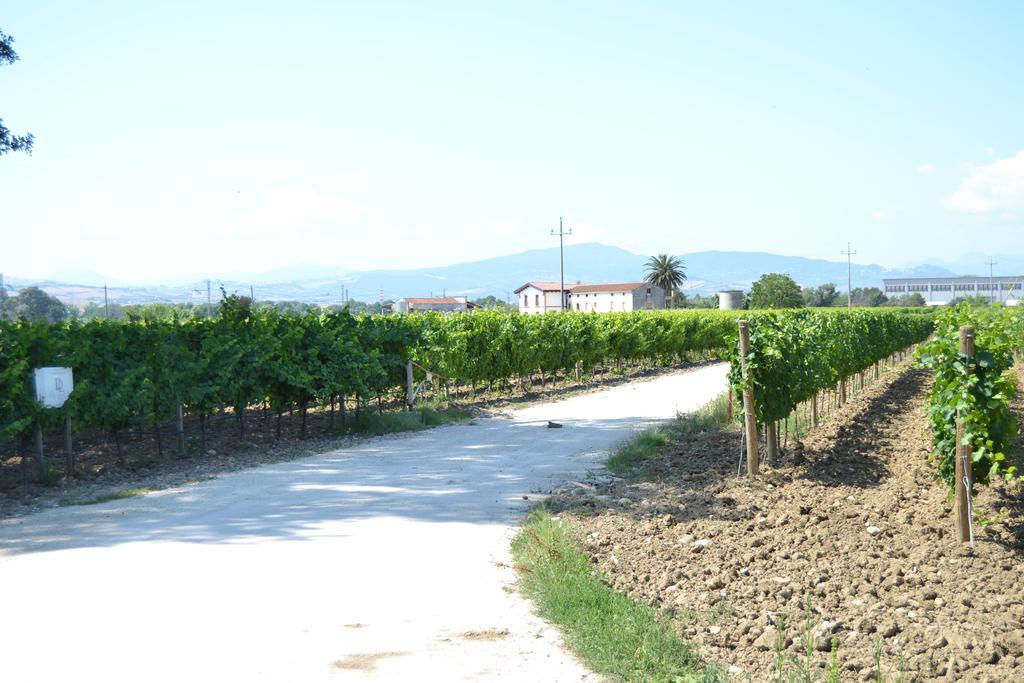 Agriturismo De Luca Mozzagrogna Εξωτερικό φωτογραφία