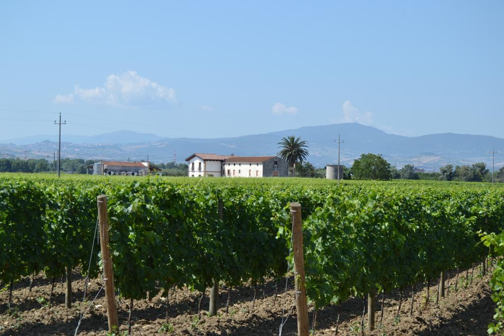 Agriturismo De Luca Mozzagrogna Εξωτερικό φωτογραφία